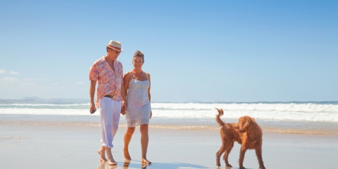 Moving to Florida? Make Sure to Legally Change Your Domicile Photo